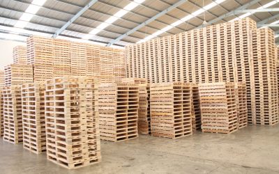 Mengenal Apa Itu Pallet, Manfaat, dan Berbagai Jenisnya