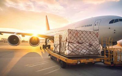 Ekspedisi Cargo Kendari Jayapura Tercepat di Kilat Cargo