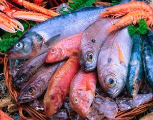 Pengiriman Seafood: Tantangan dan Tips yang Perlu Diketahui