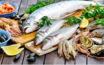 Pengiriman Seafood: Tantangan dan Tips yang Perlu Diketahui