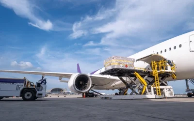 Kenapa Pengiriman Cargo Lebih Murah? Ketahui Alasannya!